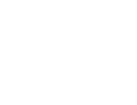 van icon