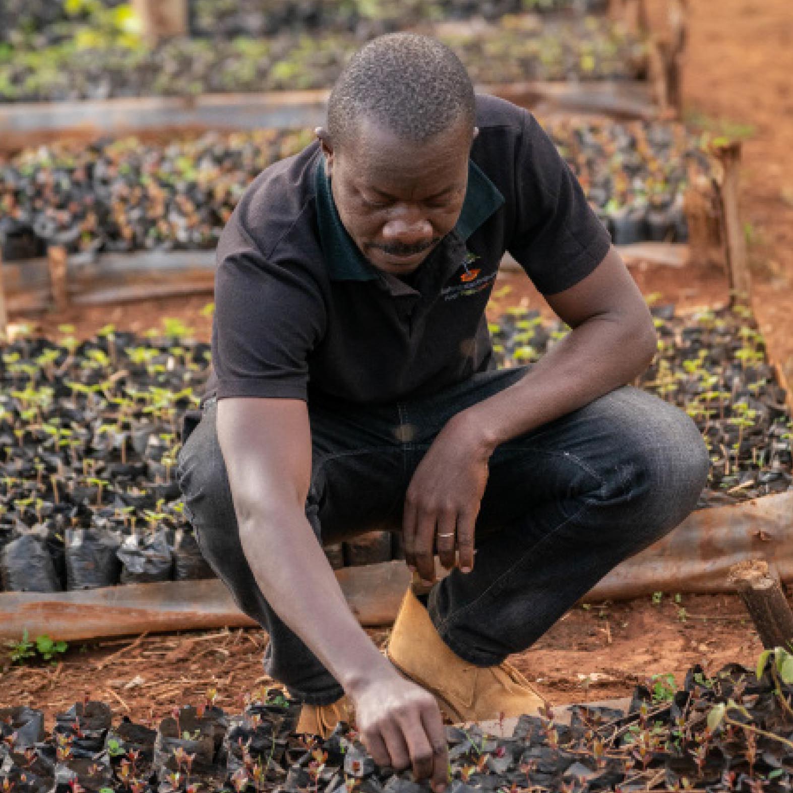 man watering plants in haiti | Beauty Society